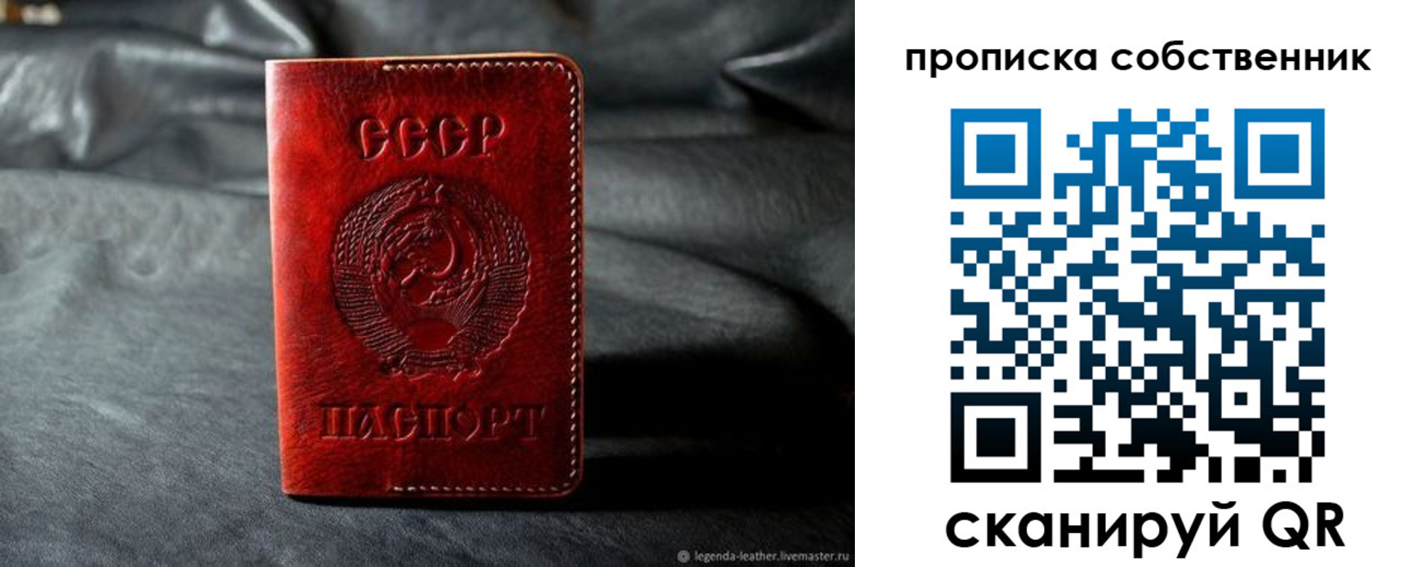 прописка поиск в Светлогорске